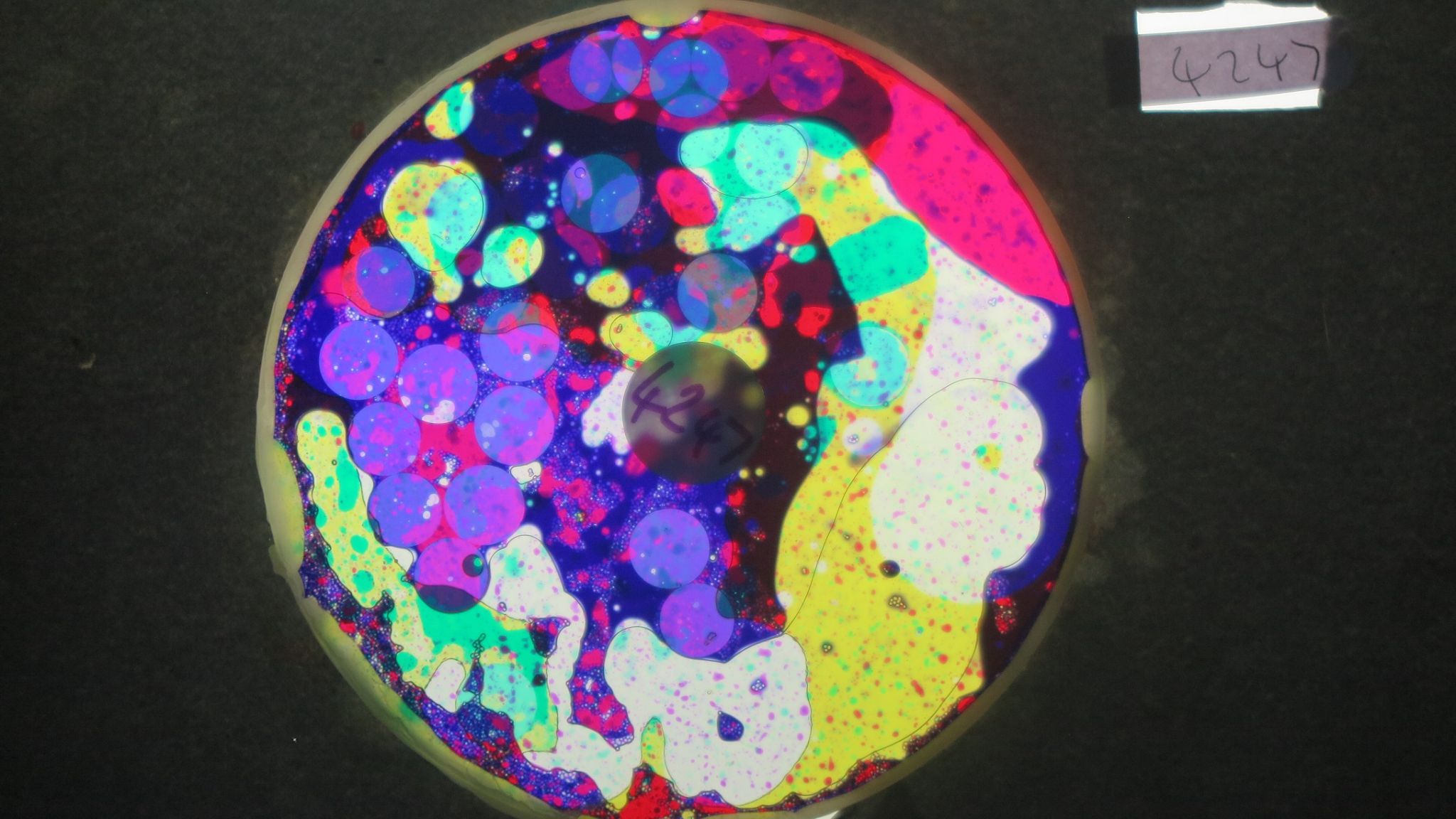 BV4247 bubble vision oil wheel